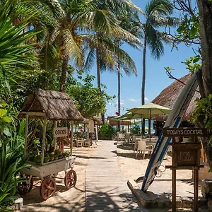 Отель Casa Colibri, Плая-дель-Кармен